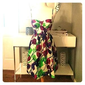 Adorable Summer Dress