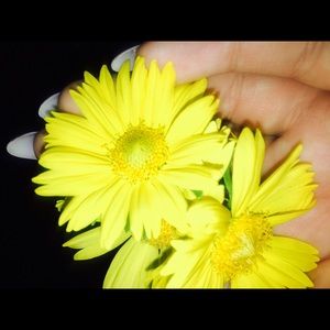 Meet your Posher, Irene