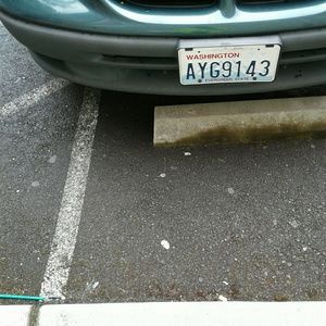 Meet your Posher, Ophelia