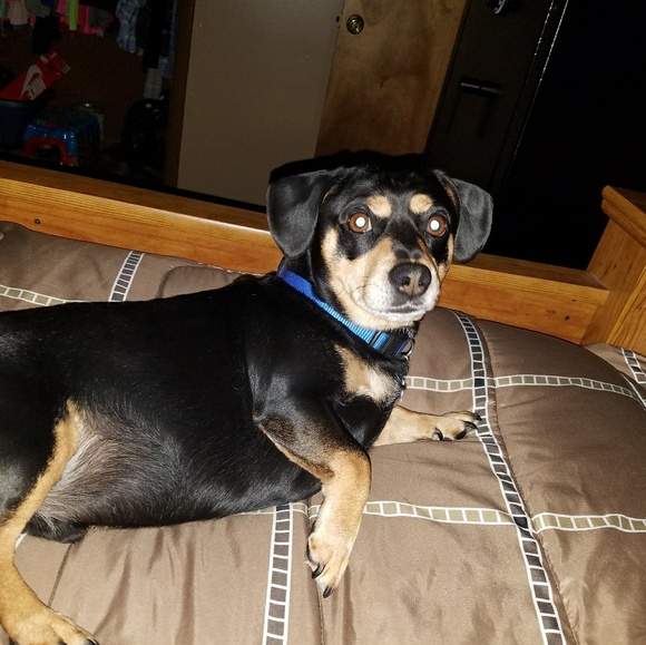 Meet your Posher, Debbie - Picture 1 of 1