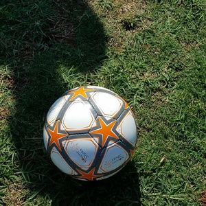 Meet your Posher, Brandy