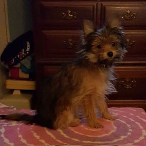 Meet your Posher, Sharon