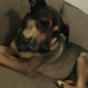 Meet your Posher, Jack