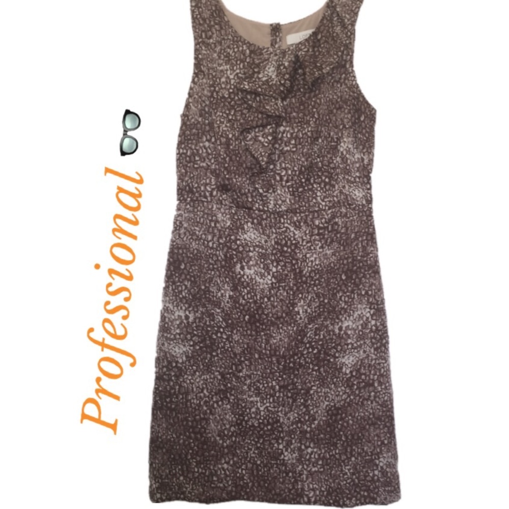 Ann Taylor Professional Dress