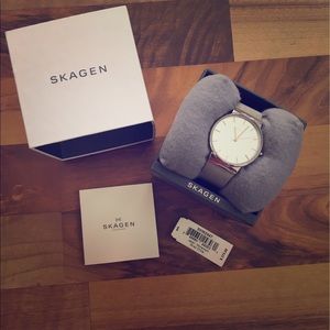 Silver Skagen Watch