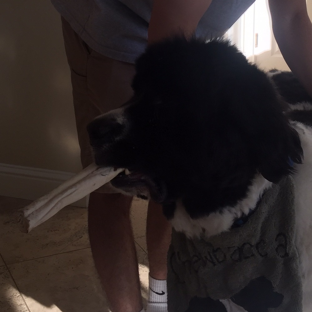 Meet your Posher, Gabby