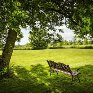 Meet your Posher, Gwendolyn