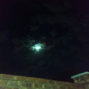 Meet your Posher, Latoya