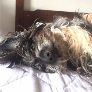 Meet your Posher, Clarissa