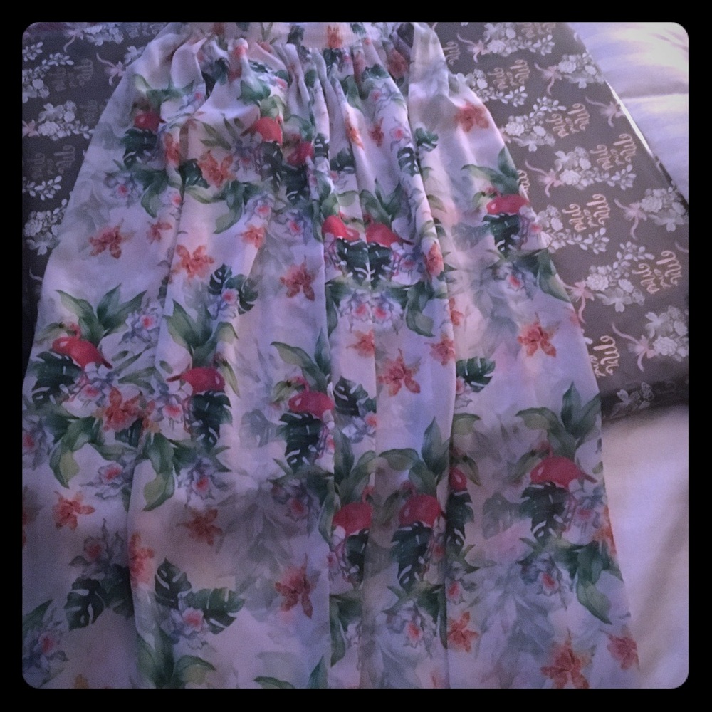 American Apparel sheer floral chiffon maxi skirt