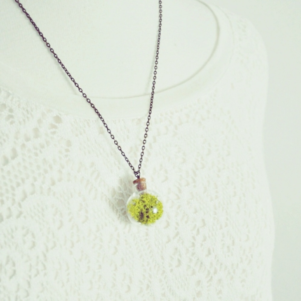 "Merry Meadowing"⚘Natural Terrarium Necklace - Picture 4 of 4