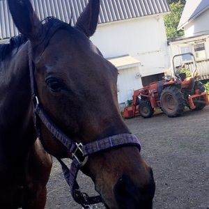 Meet your Posher, Sophie