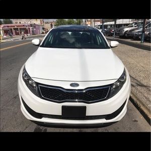 Meet your Posher, Elvis