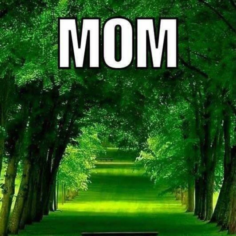 Meet your Posher, Shelley