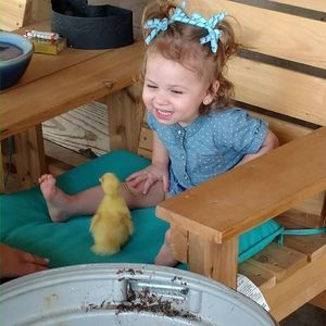 Meet your Posher, Alexandria