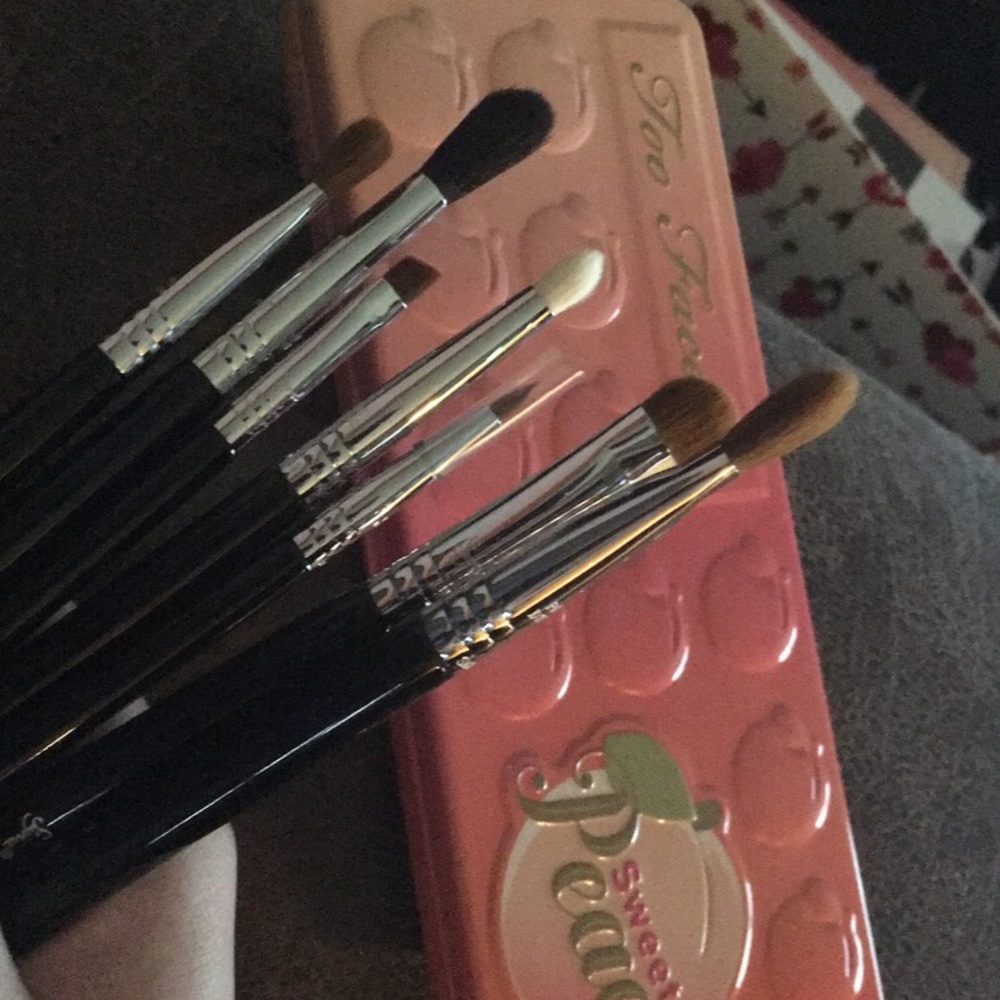 Sigma Eyeshadow Brush Set