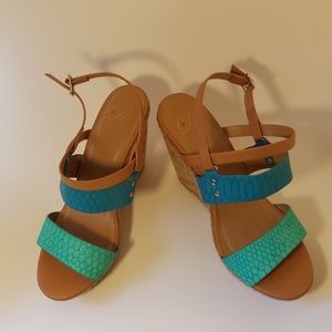 Blue and Teal Wedges