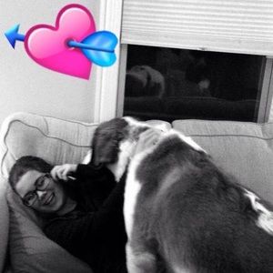 Meet your Posher, Sophia