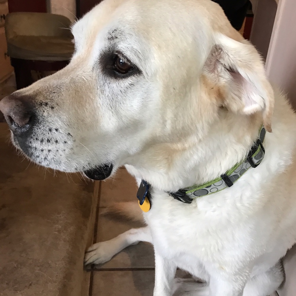 Not for sale, priceless!