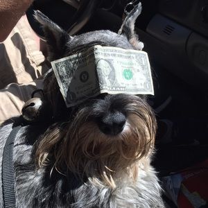 Meet your Posher, Stacey