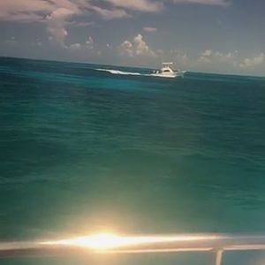 Meet your Posher, Ronda