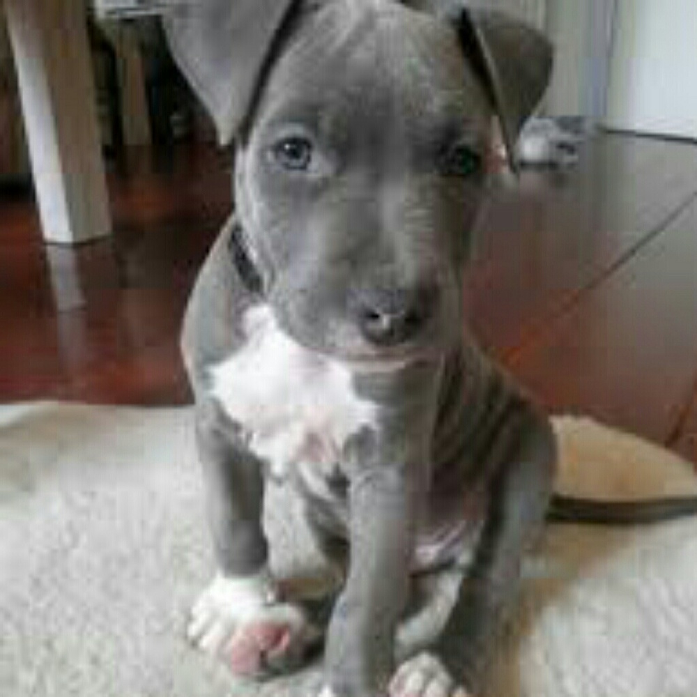 Meet your Posher, Nakhia