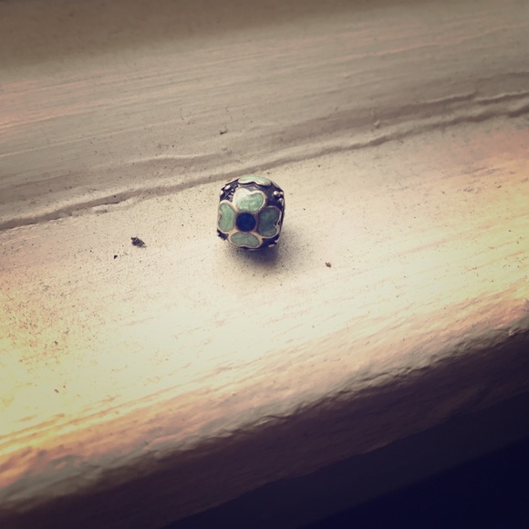 Pandora Charm - Picture 1 of 1