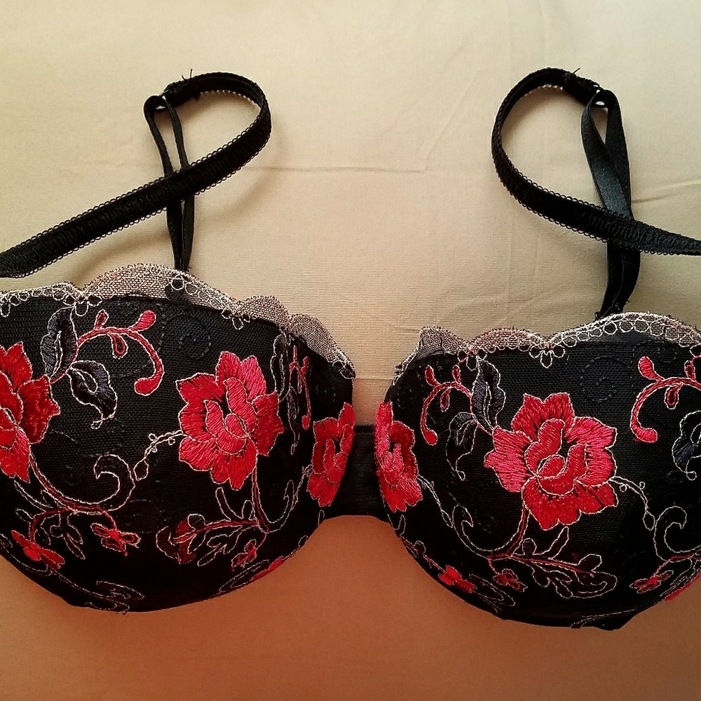 Embroidered Roses w/Sexy Lace Brauzier