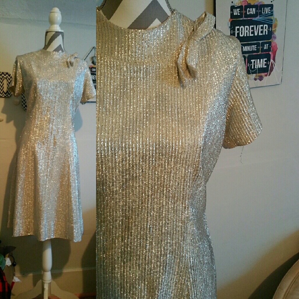 Sparkly Vintage Sliver Dress