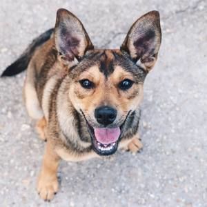 Meet your Posher, Candace