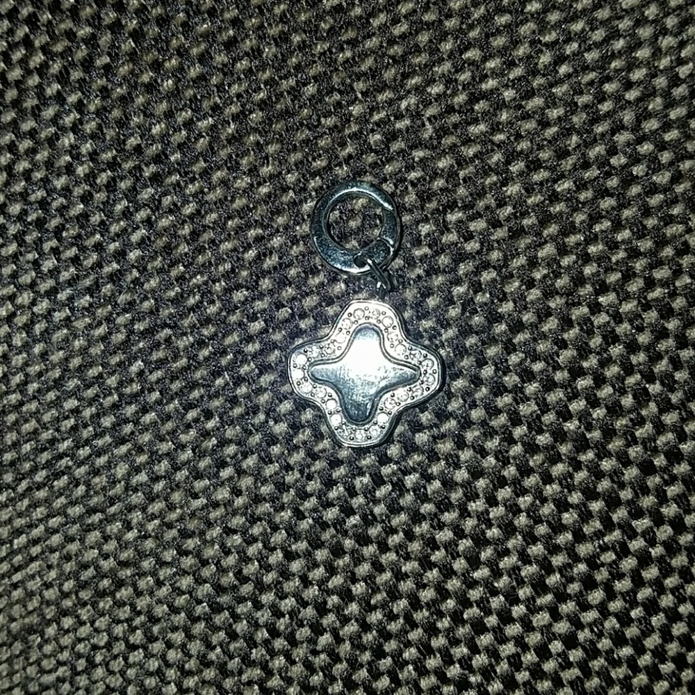 Fossil charm
