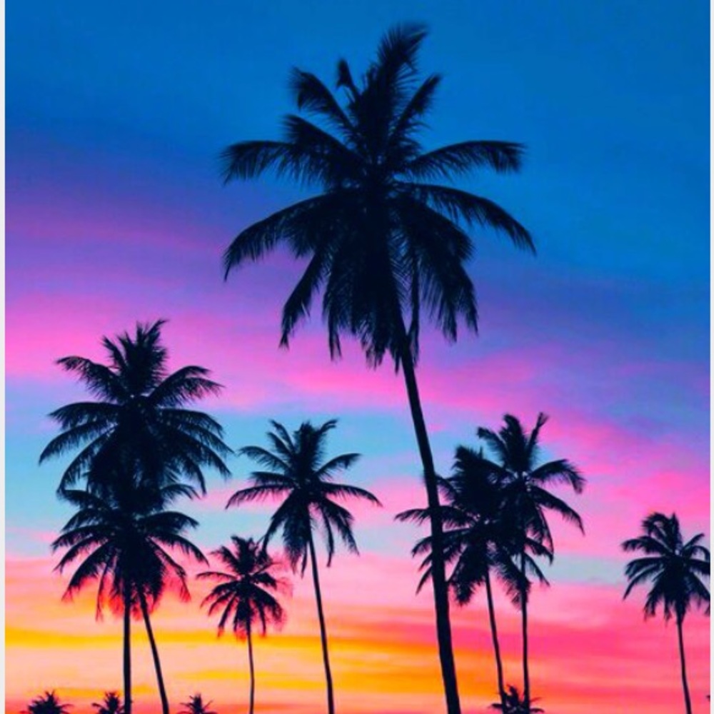 Meet your Posher, Emersyn