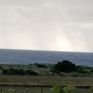 Meet your Posher, Lynette