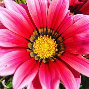 Meet your Posher, Margo