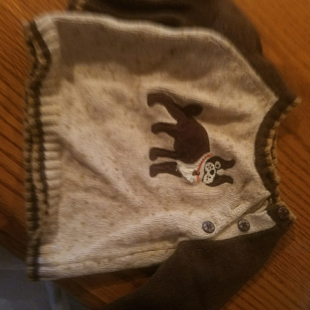 Bulldog sweater