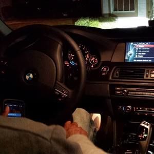 Meet your Posher, Marley