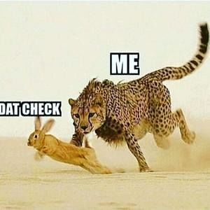 Meet your Posher, Warren