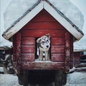 Meet your Posher, Timothy