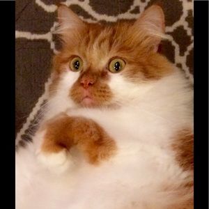 Meet your Posher, Jenny