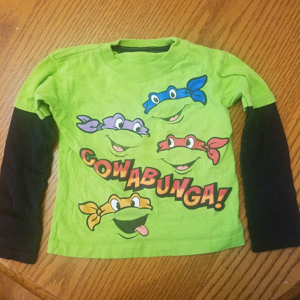 Ninja turtle