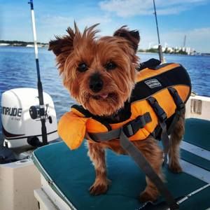 Meet your Posher, Christopher