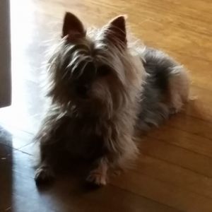 Meet your Posher, Rita