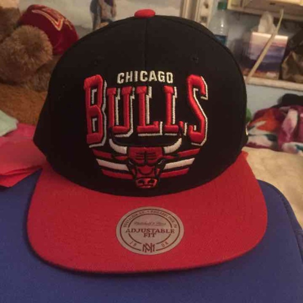 Chicago bulls snap back