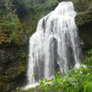 Meet your Posher, Kylie