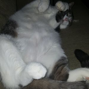 Meet your Posher, Quinn