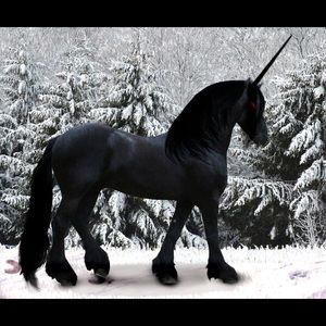 Meet your Posher, Asia