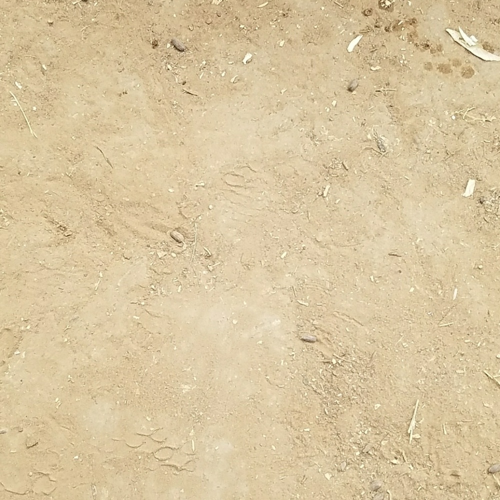 Meet your Posher, Adam