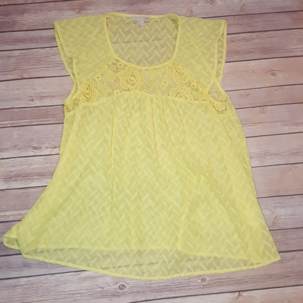 NEVER WORN Gianni Bini Blouse