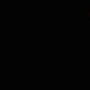 Meet your Posher, Terri