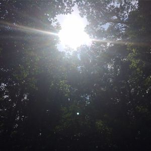 Meet your Posher, Pearline